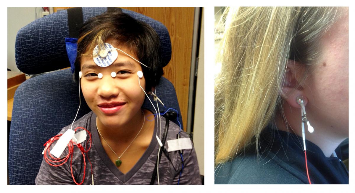 Electroretinography Drack Lab